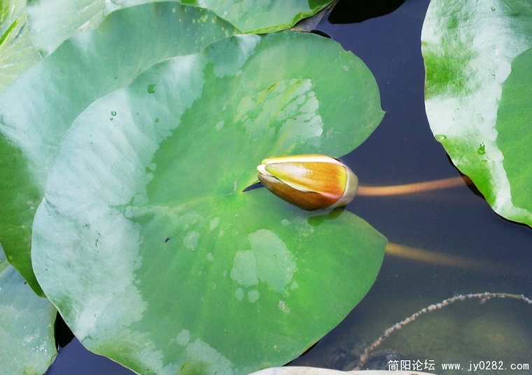 2011.6.6拍摄于空分厂