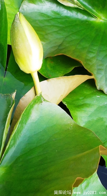 2011.6.6拍摄于空分厂