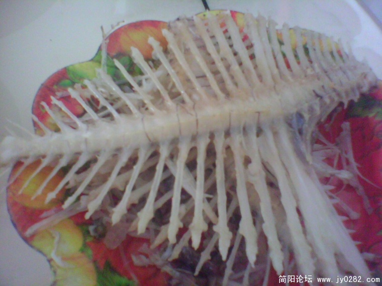 IMG0661A.jpg