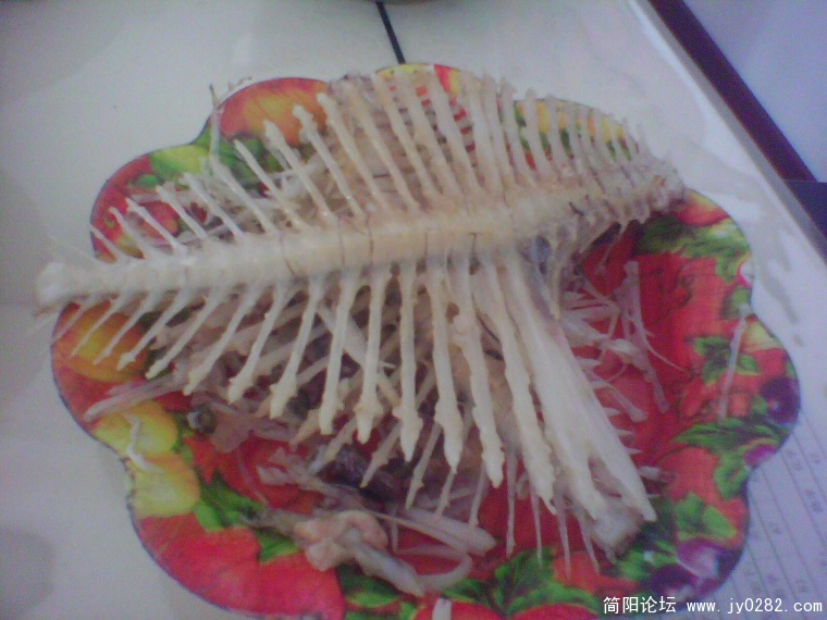 IMG0660A.jpg
