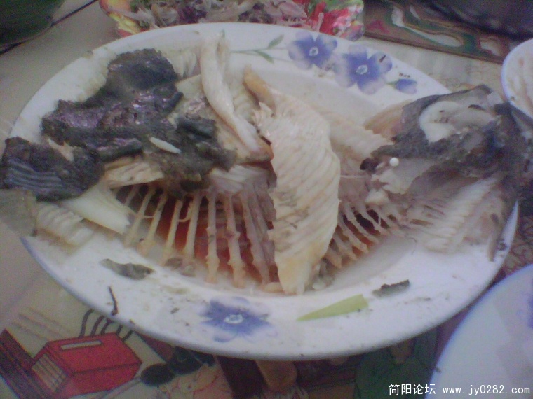 IMG0656A.jpg
