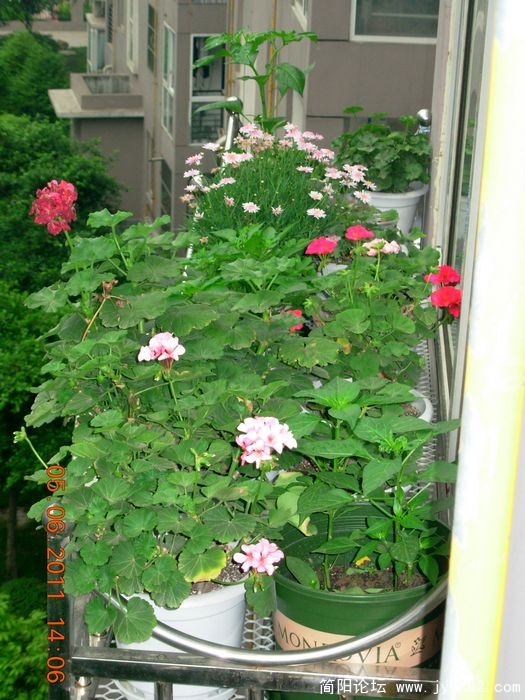DSCN0666.JPG