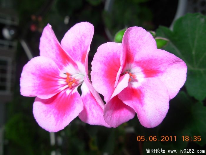 DSCN0678.JPG