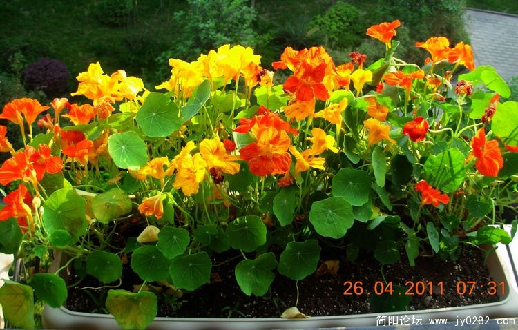 DSCN0468.JPG