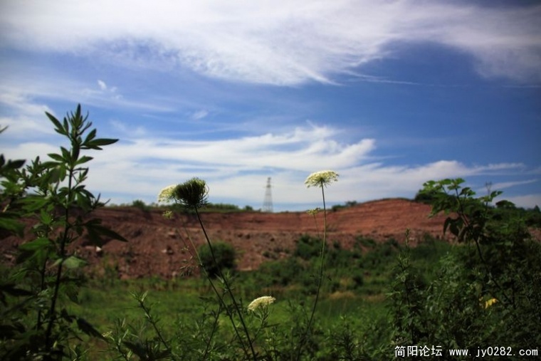 DPP_0035.jpg