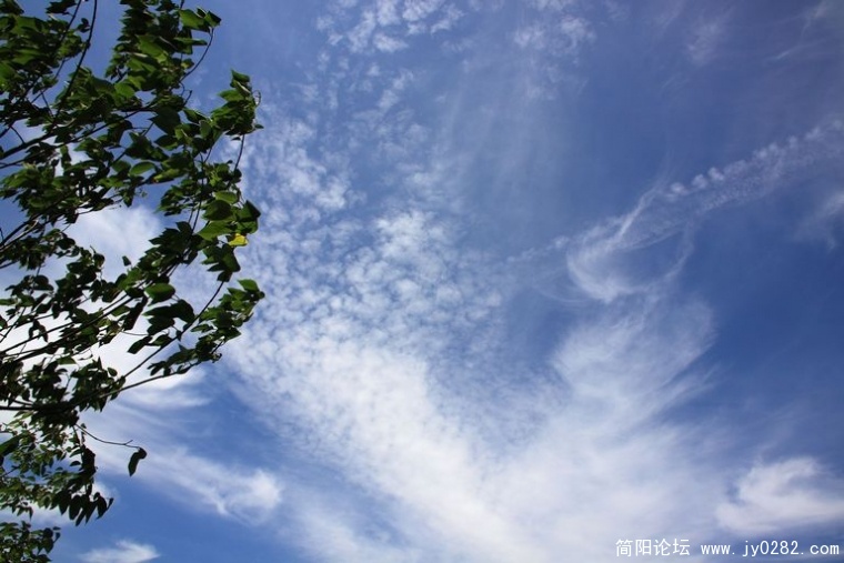 DPP_0065.jpg