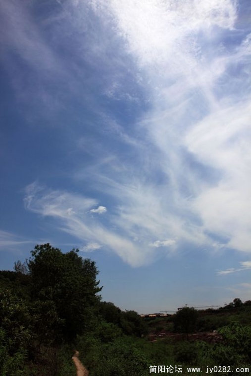 DPP_0063.jpg
