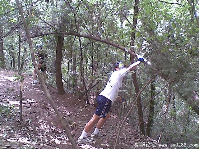 20110611_006.jpg