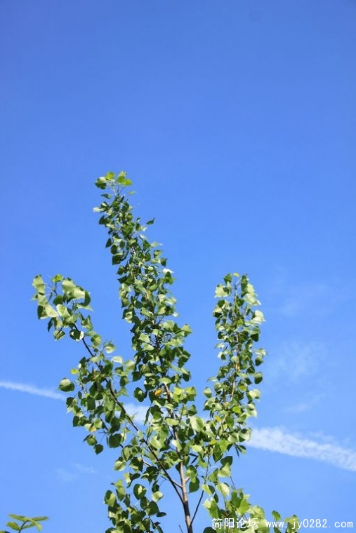DPP_0112.jpg