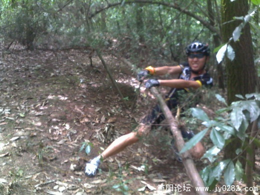 201106111090.jpg