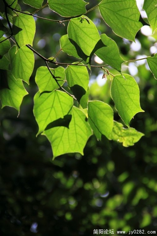 DPP_0090.jpg