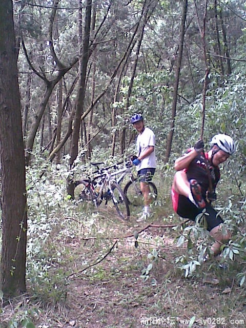 20110611_009.jpg