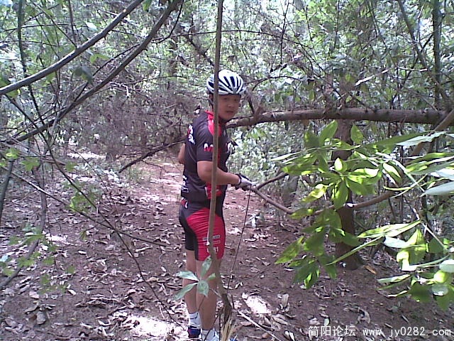 20110611_001.jpg