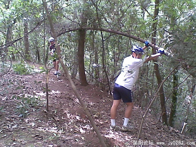 20110611_005.jpg
