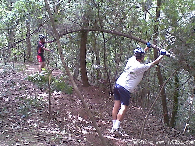 20110611_004.jpg