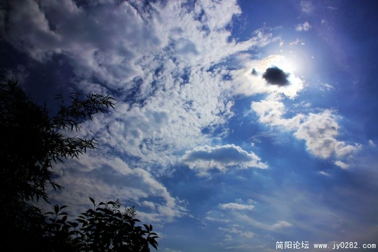 DPP_0135.jpg