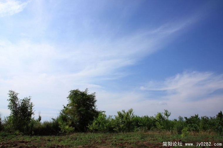 DPP_0161.jpg