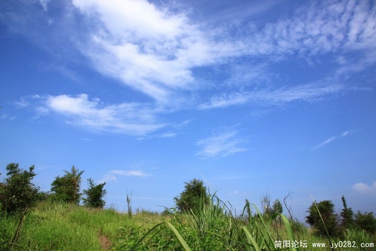 DPP_0154.jpg