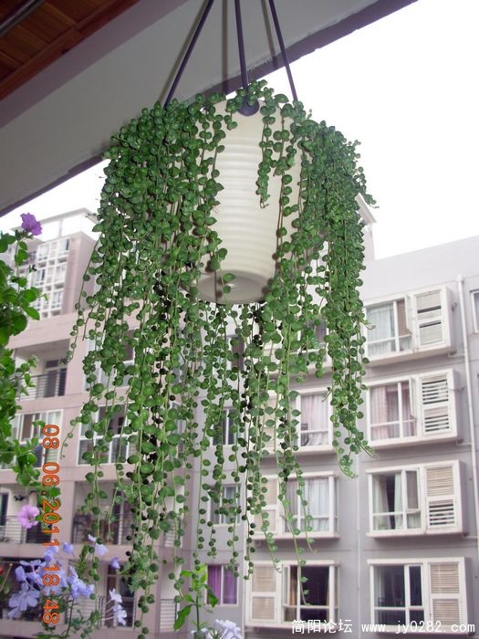 DSCN0679.JPG