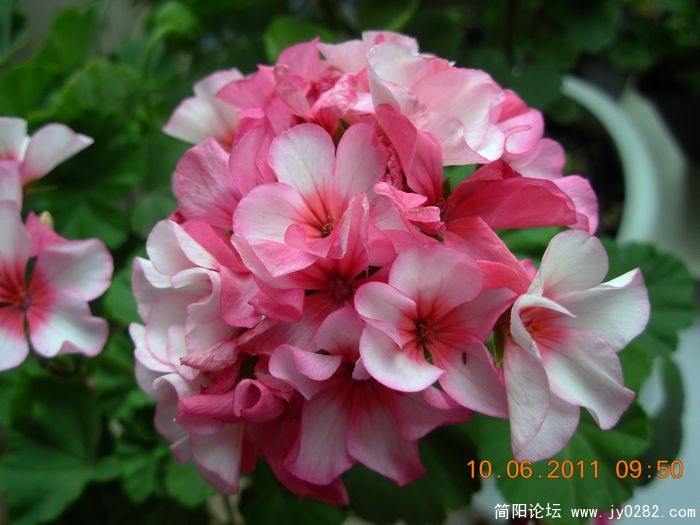 DSCN0692.JPG