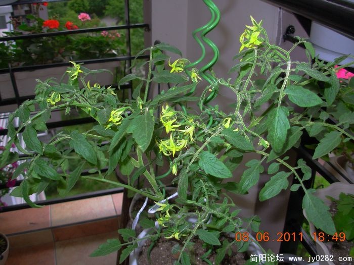 DSCN0681.JPG