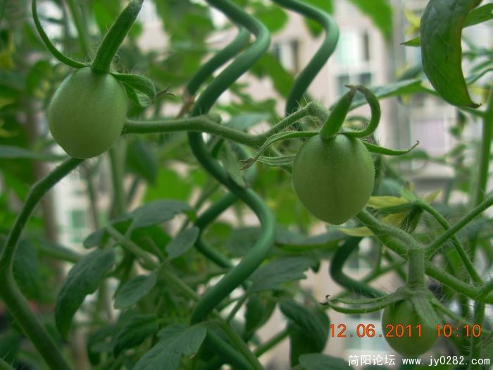 DSCN0703.JPG