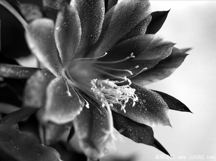 _DSC0079=副本.jpg