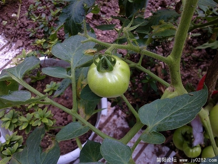 20110614043.jpg