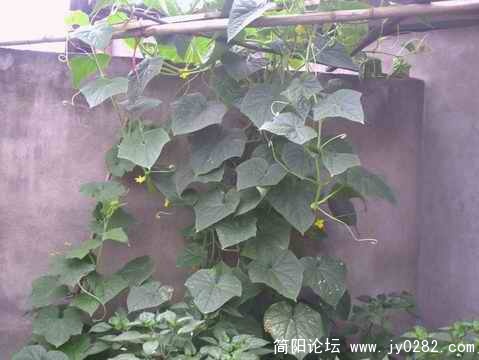 PICT0049.JPG