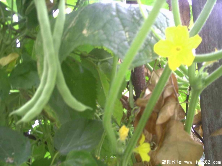 PICT0054.JPG