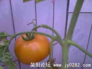 PICT0061.JPG