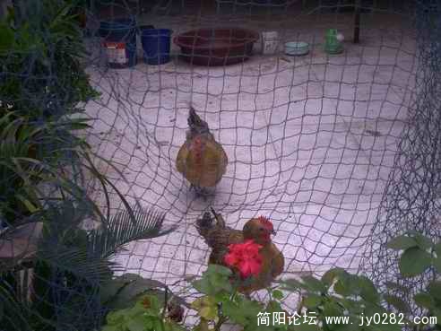 PICT0065.JPG