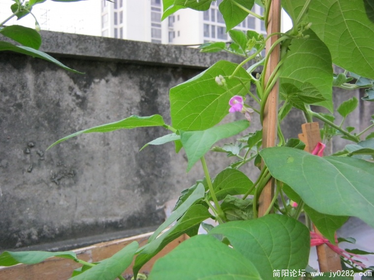 IMG_0074.JPG