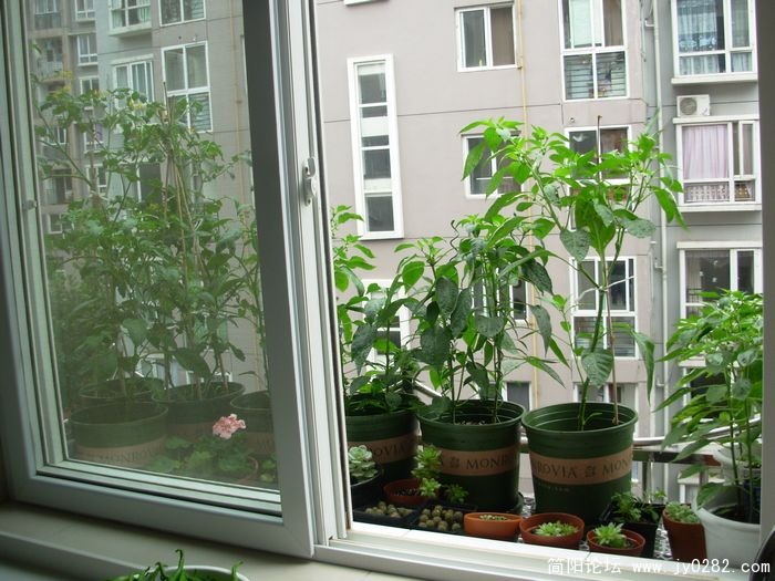 DSCN0725.JPG