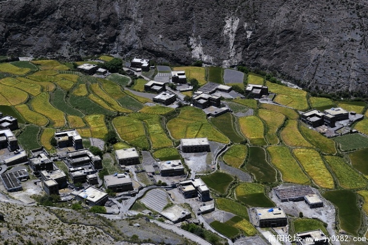 _IGP6872_调整大小.JPG