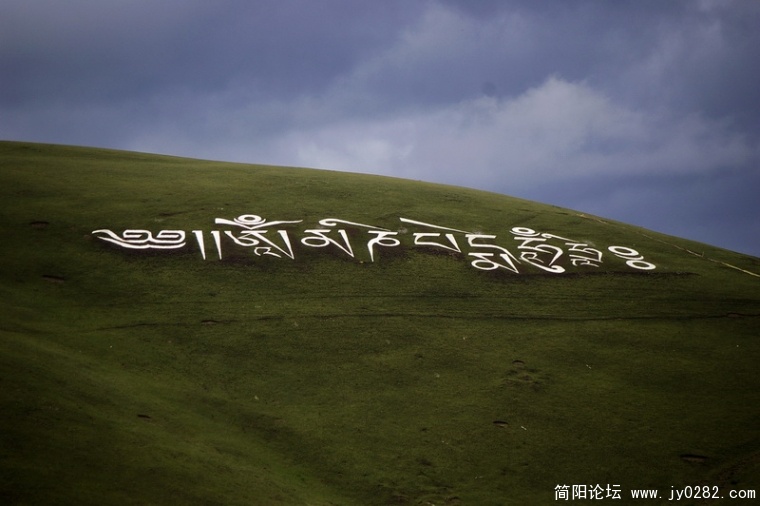 _IGP6667_调整大小.JPG
