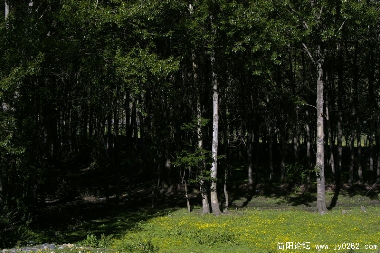 _IGP6944_调整大小.JPG