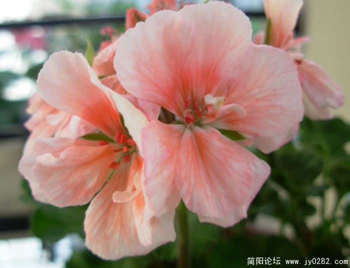 DSCN0728.JPG