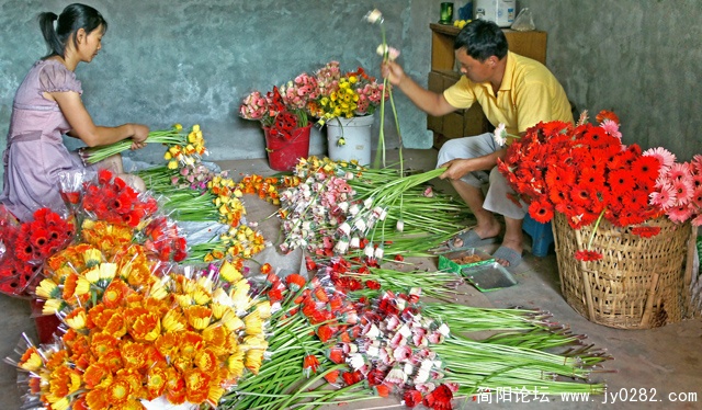 DSC00981=分色包装副本.jpg