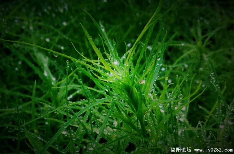 2011.6.21拍摄于空分厂