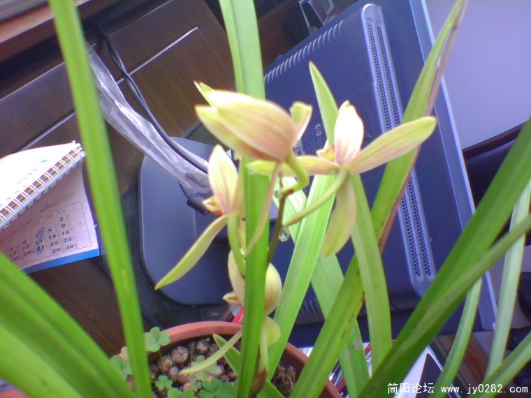 IMG0859A.jpg