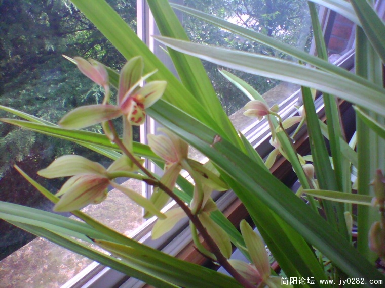 IMG0857A.jpg