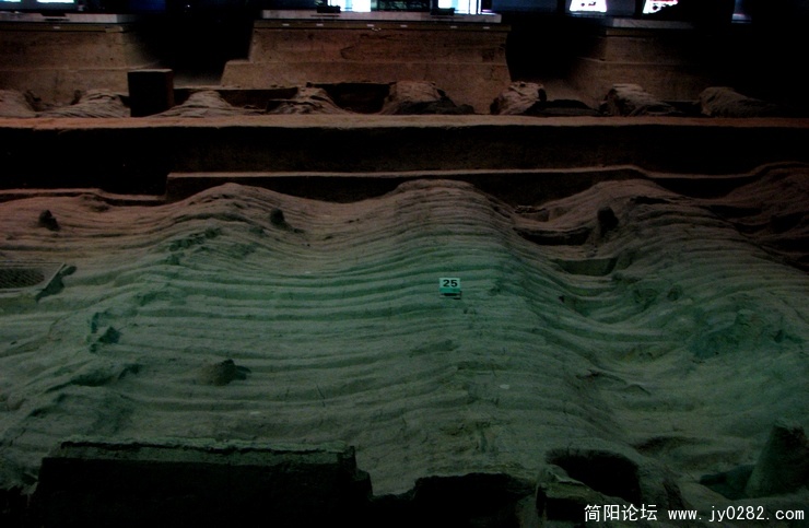照片 273.jpg