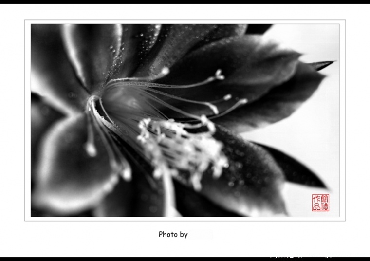 _DSC0082==5副本.jpg