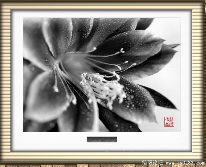 _DSC0081=9副本.jpg