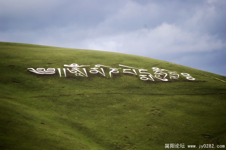_IGP6667_调整大小.JPG