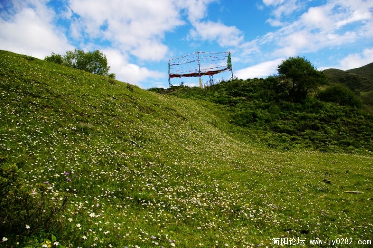 _IGP6957_调整大小.JPG