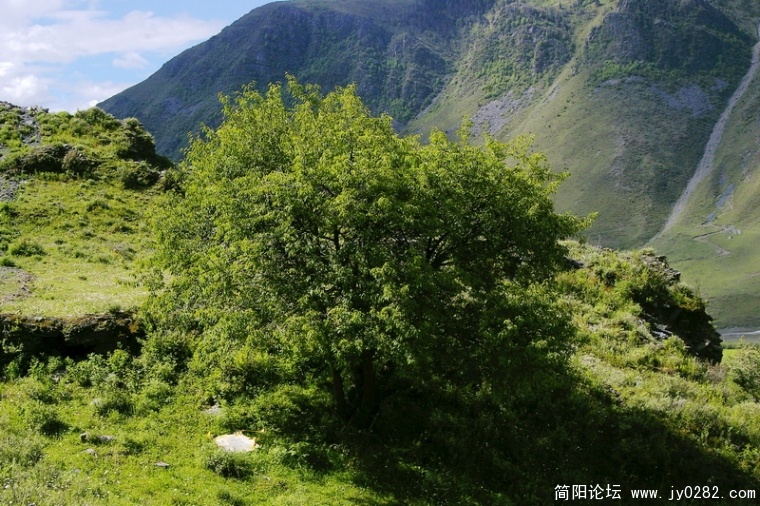 _IGP6972_调整大小.JPG