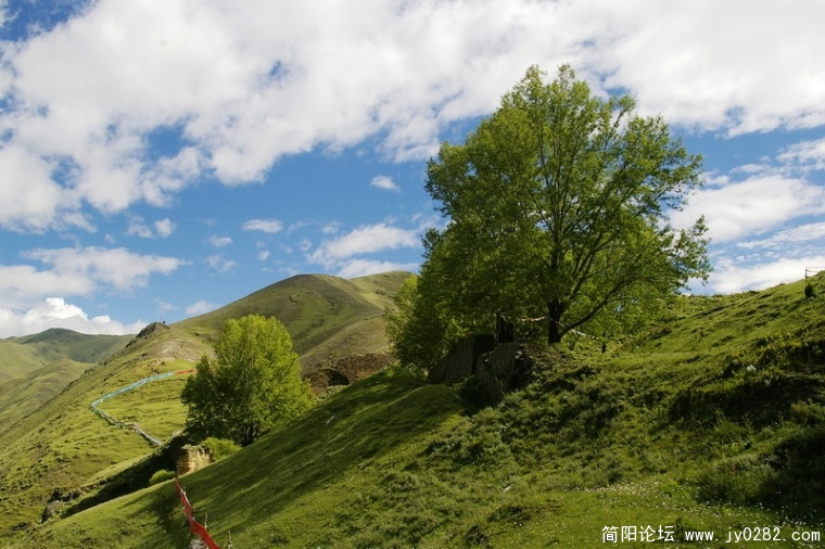 _IGP6978_调整大小.JPG