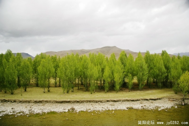 _IGP6697_调整大小.JPG